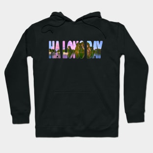 HA LONG BAY - Vietnam Hoodie